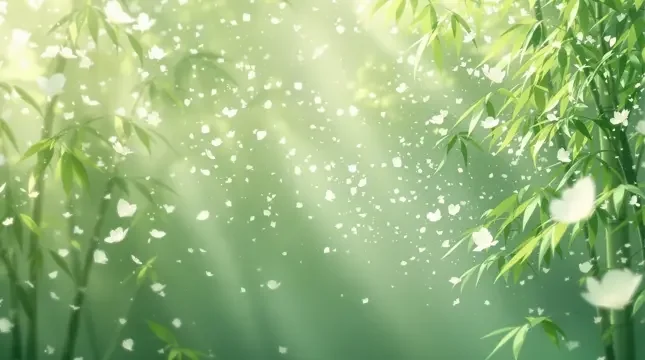 竹海晨雾 - 三妹影院竹影清风影像